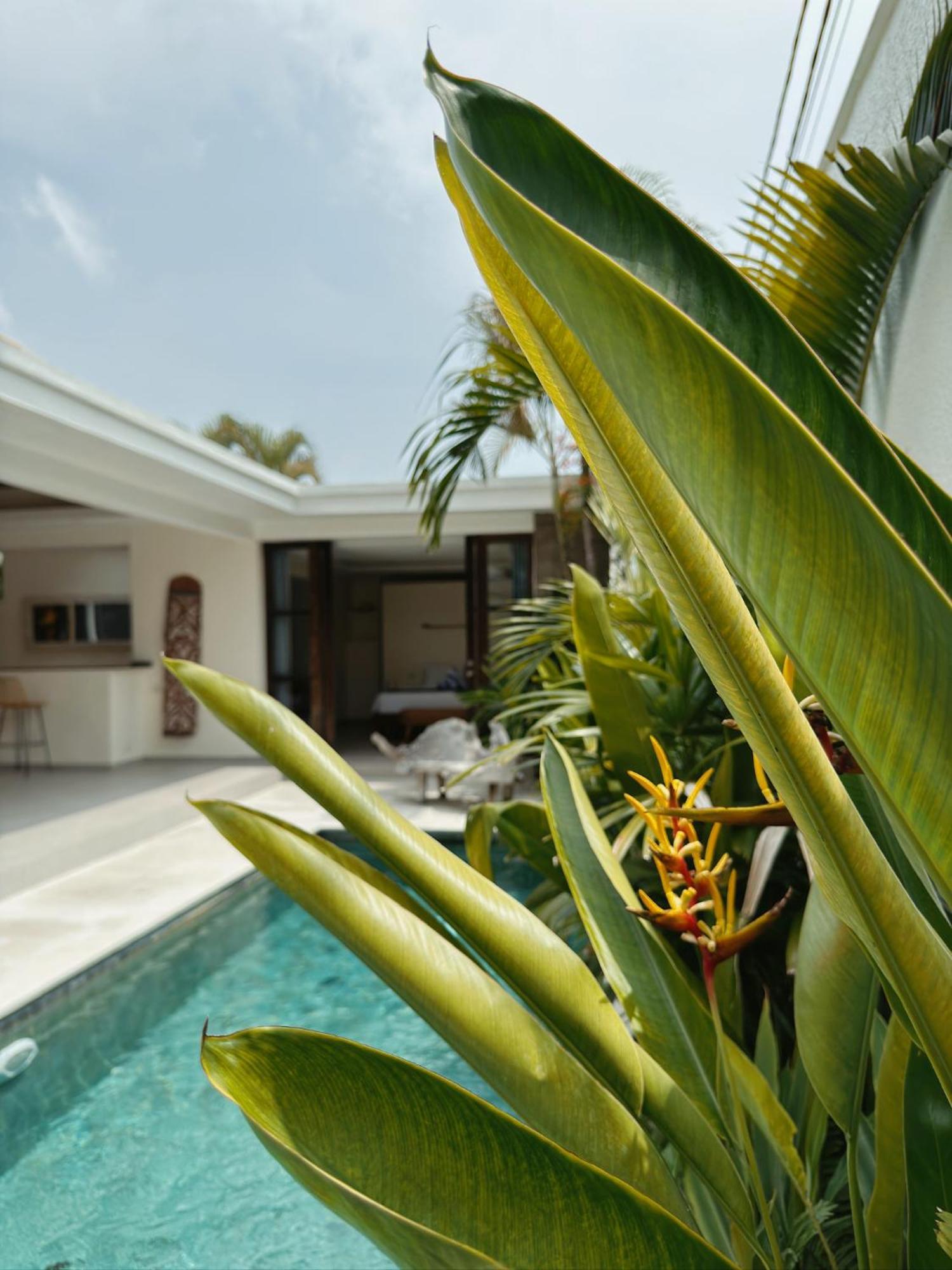 Aster Villa Seminyak Ngoại thất bức ảnh